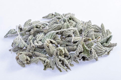 (100g) Health Embassy White Horehound Herb | Marrubium Vulgare L | Herbal Tea
