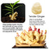 Complete Sushi Making Kit with Rolling Mat - Includes Rice, Seaweed, Wasabi & Soy Sauce