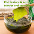 Noble Createaprototype Food3.53 oz Seaweed Salad (Wakame Seaweed) Premium Dried Wakame Seaweed, Free of impurities