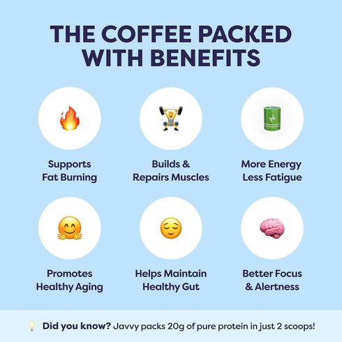100% 80 20 French Vanilla Protein Iced Coffee - Premium Whey Protein & Instant Iced Coffees - Natural Cold Brew - Zero