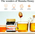 510+) 8.8 oz Good Natured Manuka Honey (MGO - High Grade Raw Manuka Honey Medical Grade, Non-GMO, Lab-Tested & AMHA