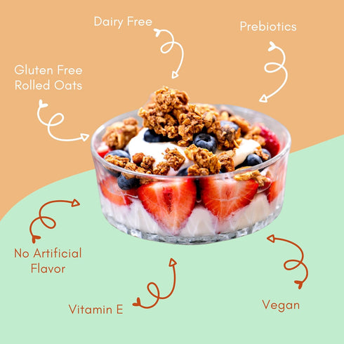 6 Pack 4 oz Apricot, Coconut, Almond Granola Clusters - of Bags - Gluten Free Oats, High Protein, Low Sugar, Vegan