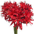 10 Elegant White Lycoris Radiata Bouquet - Premium Floral Stems for Home D cor