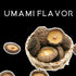 8 Oz Orsky Dried Shiitake Mushrooms, Dried Mushrooms for Cooking, Quick Rehydration, Smooth Taste, Fresh and Tender