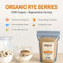 Mycology Basics 100% (2.0 lbs) Bulk Rye Berries - Certified Organic - Extra Clean - Great for Mushroom Spawn, Cooking