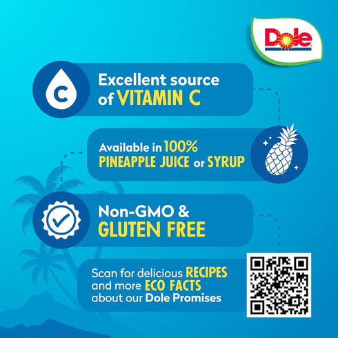 20 oz 12 Pack Dole Pineapple Slices in Heavy Syrup - Dole Canned Fruit - Rich Source of Vitamin C - Cans