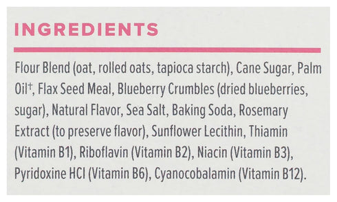 Sweet Loren's Vegan & Gluten-Free Blueberry Breakfast Biscuits