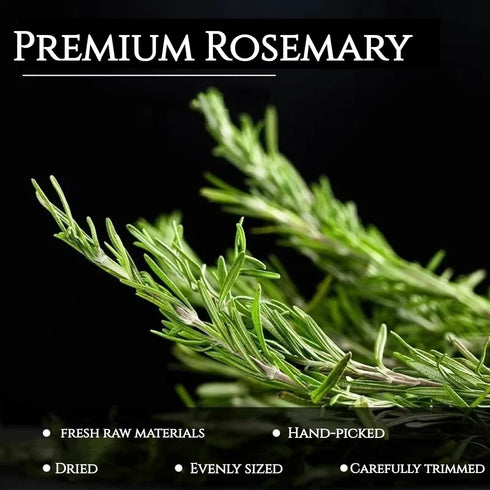 CYHJTCHS 20g (25 Dried Whole Rosemary Sprigs Bulk, Pcs), Premium Fresh Aroma Sprigs with Intact Rosemary Leaves