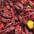 Captain Sid's Seafood Boil Blend 5G 20-30lbs 2.87lbs Captain Sids Boil Blend (Boils of Seafood & Sides)
