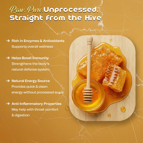 16oz (1Lb) Bonjour Raw Honeycomb - Naturally Prebiotic & Antioxidant-Rich Honey with Honeycomb | Pure Honey Combs Raw