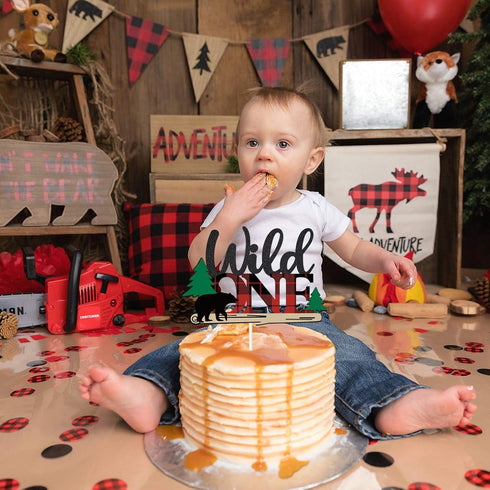 Lumberjack Wild One Cake Topper, Buffalo Plaid Camping Wild Bear 1st Birthday Cake Decor, Baby Birthday Party