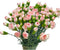 WANGBINYU 18 Pink and White Mini Carnations Fresh Cut Flowers Gifts for