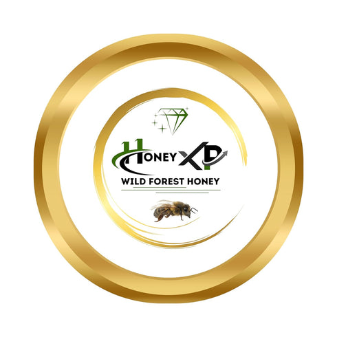 100% 680g (24 oz) Honey XP Raw Himalayan Wild Forest Honey Pure & Natural No Added Sugar Unprocessed & Cold-Filtered