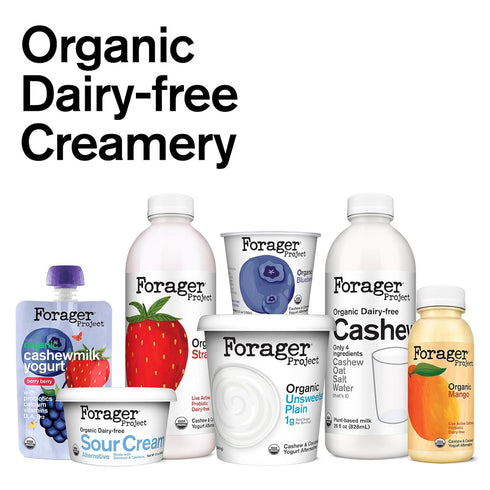 8 FORAGER PROJECT Organic Strawberry Cashew Drinkable Yogurt, FZ