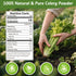 20 oz, 1.25 lb 70 Pack 100% Fangkic Pure Celery Powder Fresh Celery Juice Powder for Drink, / Servings per with a