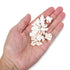 2lb Farmer Direct Baby White Popcorn Kernels - Tender Hulless Bag - Freshness for Oil, Microwave, or Air Popper - Easy