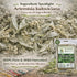 (4 oz) 100% Estafiate Herbal Tea Natural Mexican Mugwort (Artemisia ludoviciana) Traditional Vitality & Digestive
