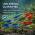 Generic 20+ 1/2-1 Inch Holding Mixed Color Neocaridina Shrimp - Live Freshwater Aquarium Shrimp for Breeding, (Young