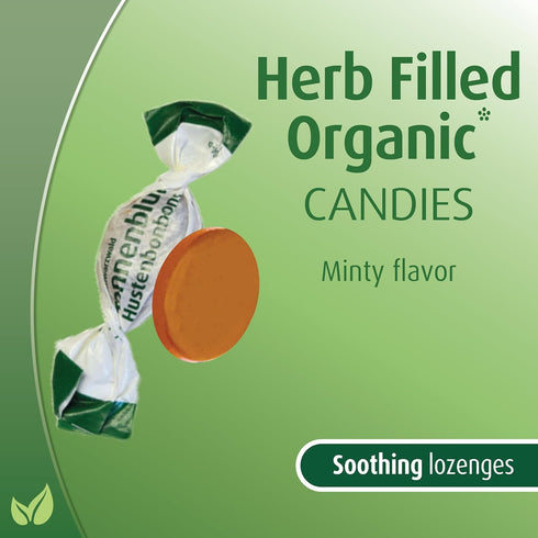 huebner 2.6 15 12-Pack Hubner Tannenblut Herb Filled Organic Candies for Cough, Ounce Bag with Approximately Pieces
