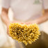 500 (1.1 Lb) Rustichella D' Abruzzo Zucca Di Fior Pumpkin Torchio Pasta Grams