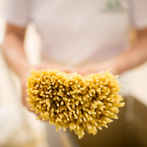 500g Rustichella d'Abruzzo Radiatori Pasta - Classic Italian Durum Wheat Semolina Short Pasta with Ridged