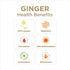 99% 32 Oz (Pack 1) Pure Ginger Juice by The Ginger People Digestive Health, Premium Quality, Fl Bottle