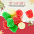 5 Gummies NY Spice Shop Christmas Spice Drops - Pound Red and Green Spice Drop - Festive Gumdrop Candy - Holiday