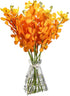 15 Stems of Fresh Orange Orchids - Perfect Gift for Any Occasion