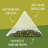 15 Count (Pack 1) Two Leaves and a Bud Organic Tropical Green Tea, Whole Leaf Sencha Green Tea