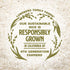 32 Oz Lundberg Jasmine Rice, Long Grain White Rice - Non-Sticky, FluffyAromatic Rice, Sustainably Grown in California
