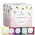 5 10 Tily Tea Assorted Herbal Tea Box - Flavors of Caffeine-Free Tea - Morning Shine, Through the Day, Evening Calm