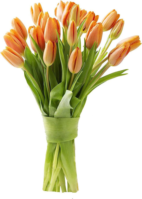 KaBloom Flowers - Valentine Collection - PREMIUM 20 Orange Tulips Without Vase