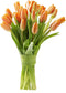 KaBloom Flowers - Valentine Collection - PREMIUM 20 Orange Tulips Without Vase