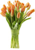 KaBloom Flowers - Valentine Collection - PREMIUM 20 Orange Tulips Without Vase