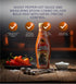 GROVE 6 Pack (5 oz African Dream Foods Sauce Afr Ghost Pepper fl each) Hot Condiment for Cooking & Marinades Ghost