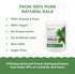 100% 2.43 oz eHerbal Freeze Dried Kale Powder Powder Superfood Non-GMO, Nutrient-Rich Greens for Smoothies, Juices