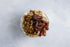 32oz (Pack 4) Bob's Red Mill Quick Cooking Rolled Oats, of - Non GMO, Whole Grain, Vegan, Kosher
