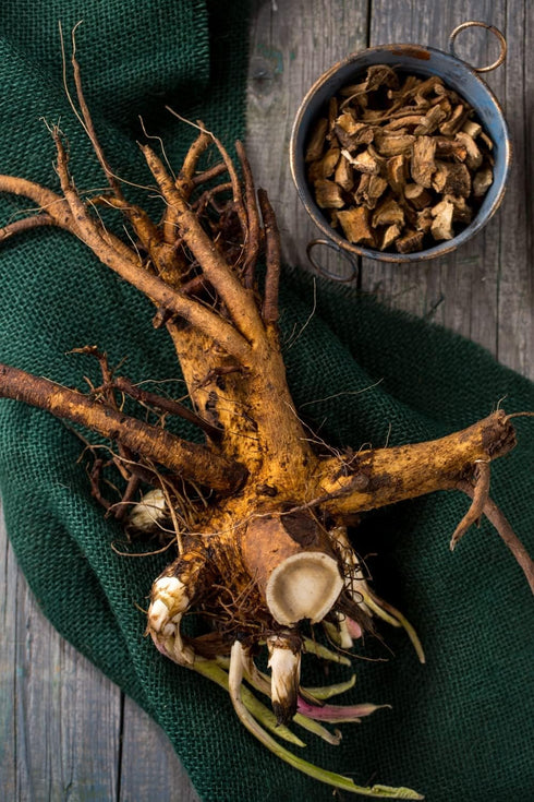 Health Embassy Oman Root | Elecampane Root | Herbal Tea 50g