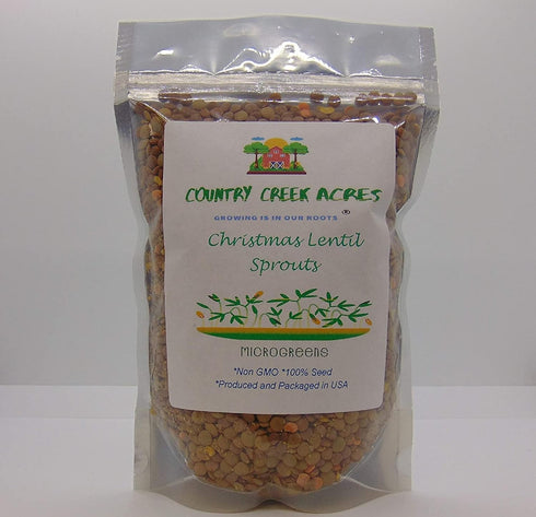 Christmas Lentils- Perfect mix of Red and Green Lentil seeds for Sprouting
