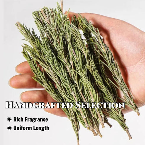 CYHJTCHS 20g (25 Dried Whole Rosemary Sprigs Bulk, Pcs), Premium Fresh Aroma Sprigs with Intact Rosemary Leaves