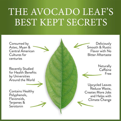 Avocado Leaf Tea Peach Tea - Caffeine-free Herbal Tea for Immune Support, 15 Tea Bags (30 Servings)