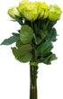 Flower Explosion 12 Stems - Fresh Cut Limbo Green Rose Bouquet from