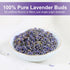 40 Count TEARELAE - Lavender Tea, - Premium Dried Lavender Flower Tea Bags for Stress Relief - Aromatic Wellness