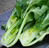 WASOTO 1 lbL8 Farm Fresh Delicious Baby Bok Choy - Approx