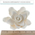 1 Count Global Sugar Art Gardenia Sugar Cake Flowers Jumbo White with Wire, by Chef Alan Tetreault