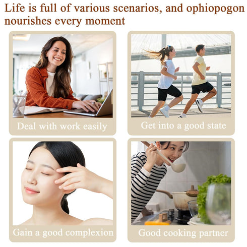 Visit the Store 10.58oz/300g Ophiopogon Herb Mai Dong Mai Men Dong Ophiopogon Japonicus Health Tea Full and Core