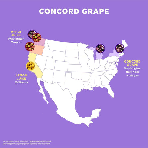 12 Pack Spindrift "Concord Freeze" Grape Soda Made With Real Squeezed Fruit Case
