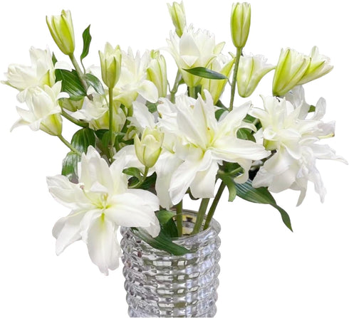 5 stems fresh-cut multi-petal lilies Scented for a long time and good for hydroponic flower arrangements Shipped