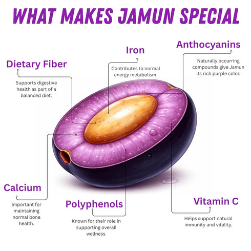 32.46 Oz (960ml) BASIC AYURVEDA Jamun Juice | Fl | Pure Eugenia Jambolana Fruit Juice | Supports Digestion & Detox | No