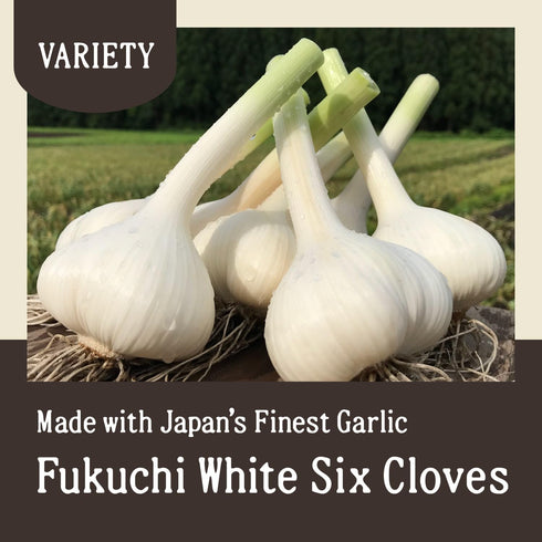 7 oz (200 Bulbs Black Garlic g) Japanese Fermented Superfood, Whole